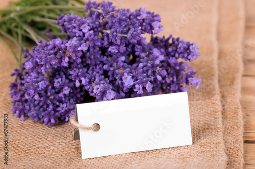 Fototapeta Naklejka Na Ścianę i Meble -  Lavendel