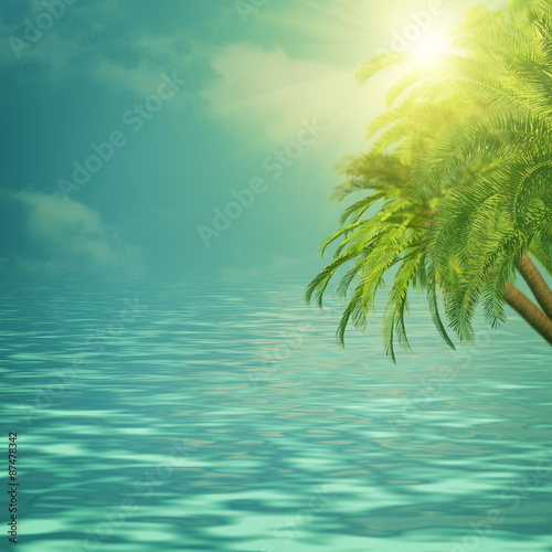 Summer trip backgrounds with palm tree