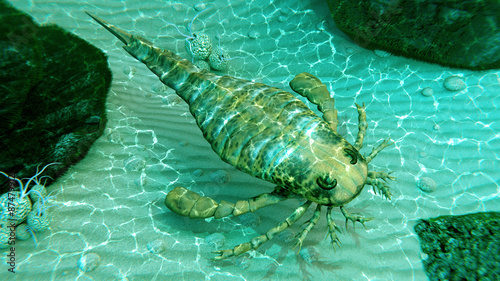 An illustration of eurypterus exploring sea floor. Eurypterids are related to arachnids and include the largest known arthropods to have ever lived (460 to 248 million years ago). photo