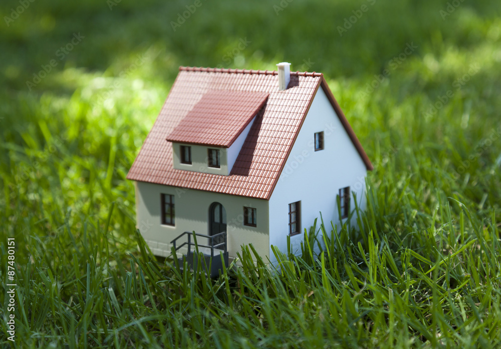 custom made wallpaper toronto digitalLittle house on green grass