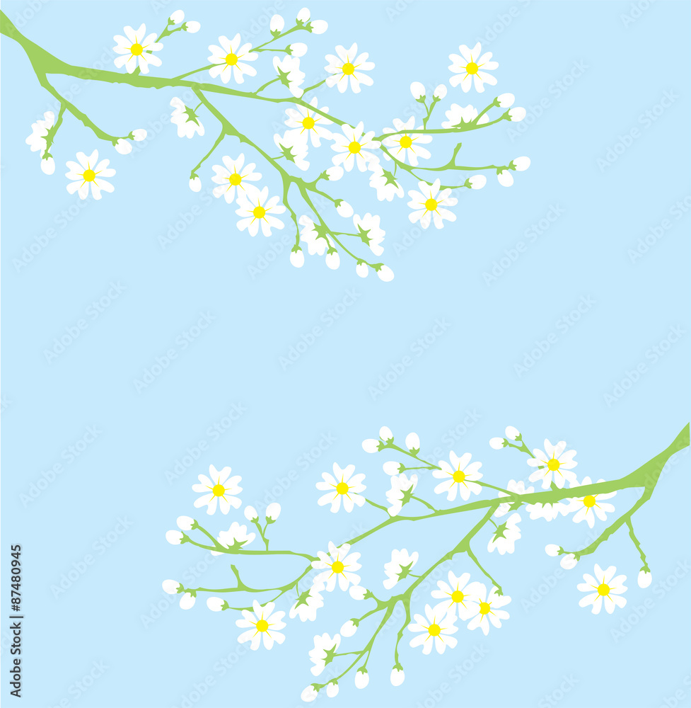 spring spring