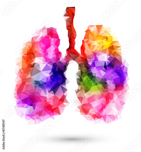 Abstract human lungs with multicolored polygon on white
