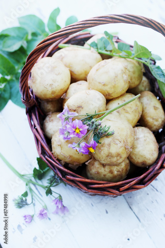 Clooney young potatoes