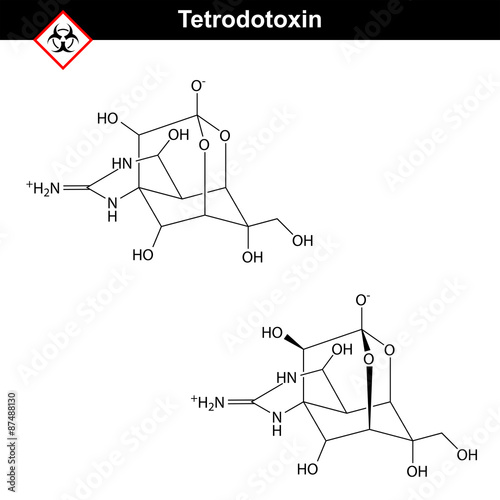 Tetrodotoxin - fugu fish poison