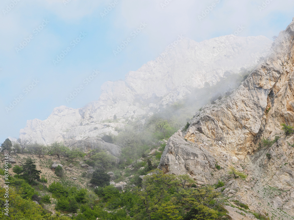 Fototapeta premium fog in the mountains. crimea