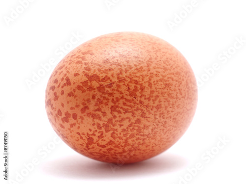 egg on a white background