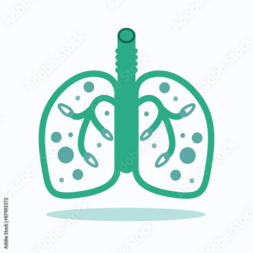 Healthy lungs.vector,illustration.