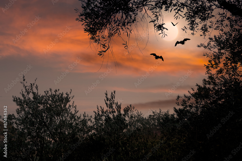 Obraz premium Halloween sunset with bats and full moon