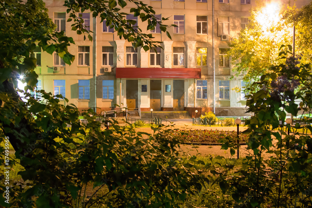 Night view of school building through the bushes