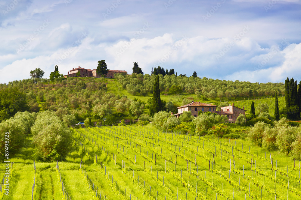 Rural landscape, Tuscany, Italy