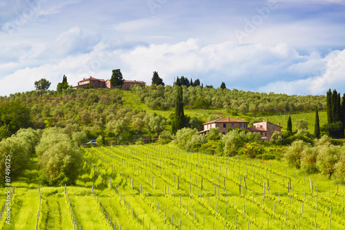 Rural landscape  Tuscany  Italy