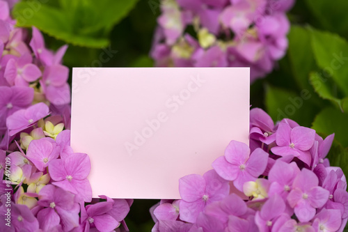 Paper note in hydrangea flowers