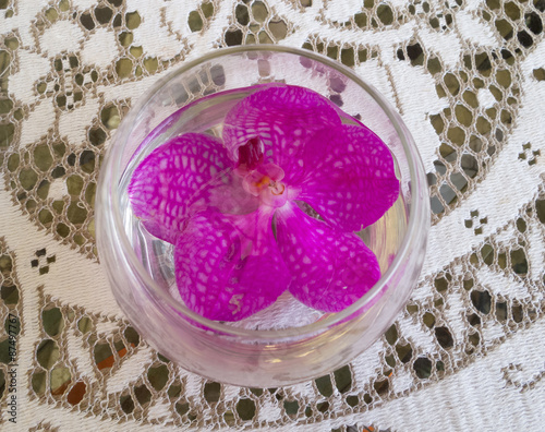 pink orchids decoratation