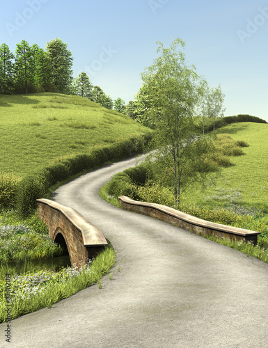 Country lane in summer time in day. Rural road and the small bridge are surrounded with a green grass and trees