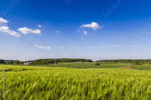 Landschaft im Sommer - Rheinland Deutschland