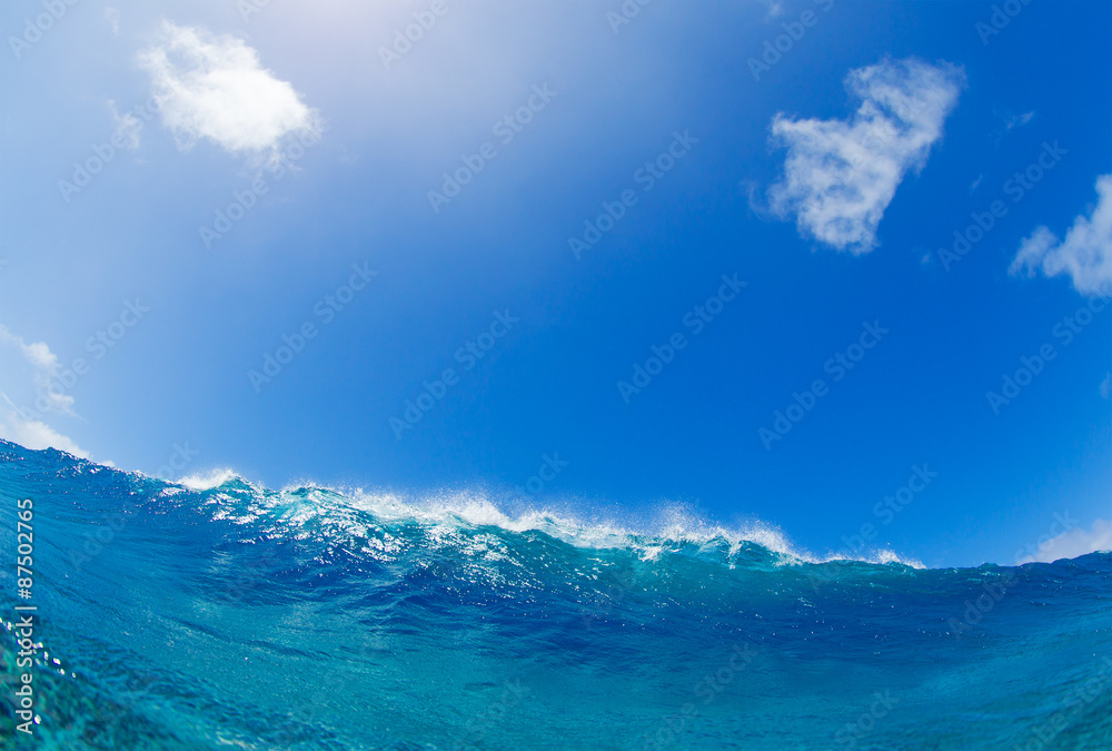 Fototapeta premium Ocean Wave