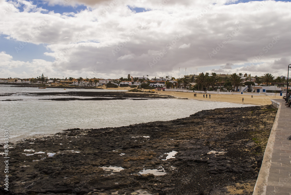 Fototapeta premium Canaries