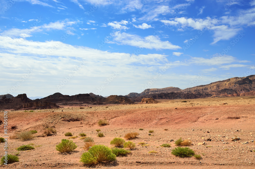 Naklejka premium Timna park, Israel