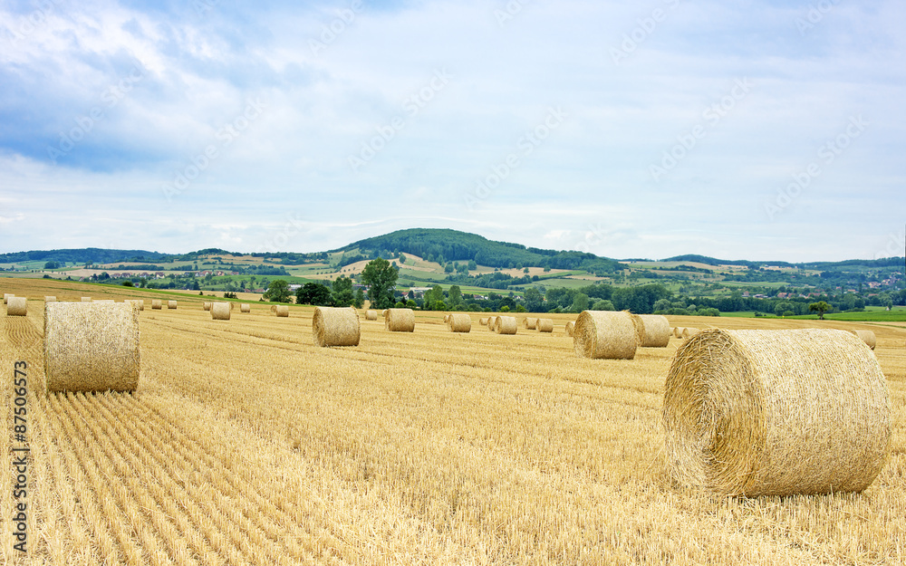 paysage agricole avec paille en balles rondes