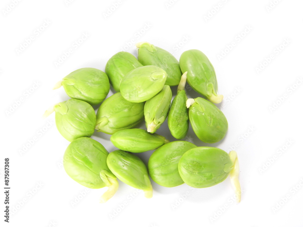Bitter bean, Twisted cluster bean, Stink bean on white background Bitter bean, Twisted cluster bean, Stink bean on white background