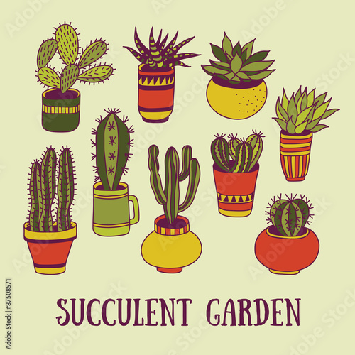 Set of succulents in pots. Hand-drawn vector illustration.