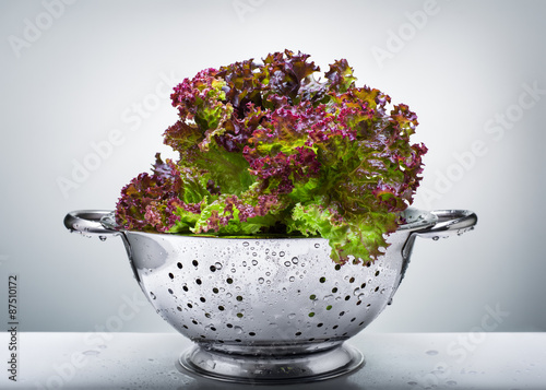 lettuce in a colander photo