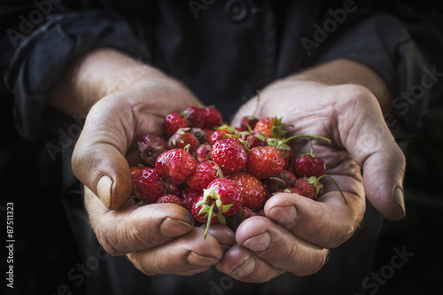 Strawberry lie in male hands