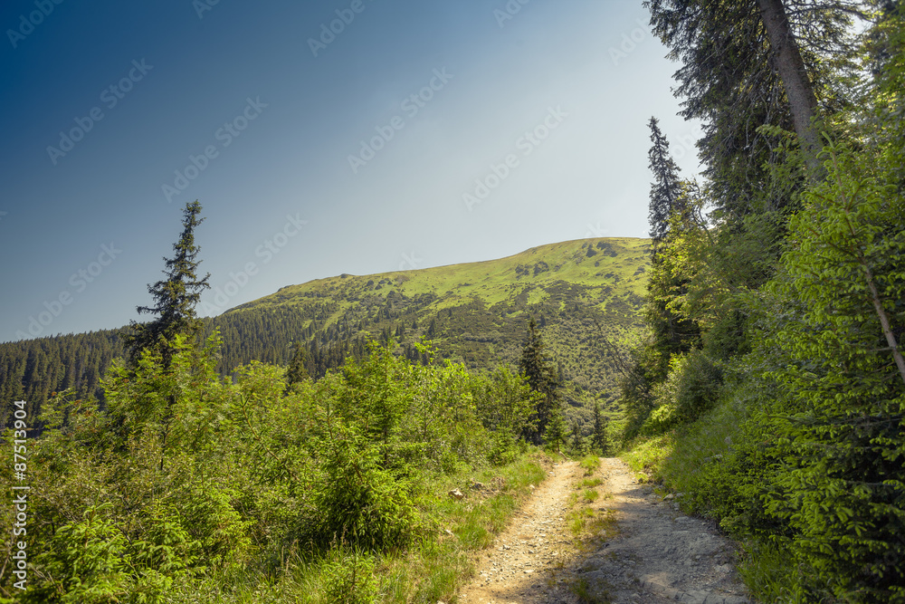 hiker on the trail hiker on the trail