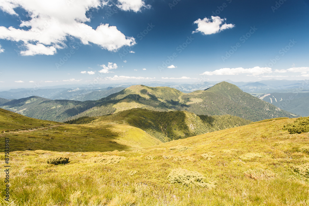 Fototapeta premium mountains in summer