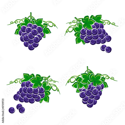 Grapes set. Vector