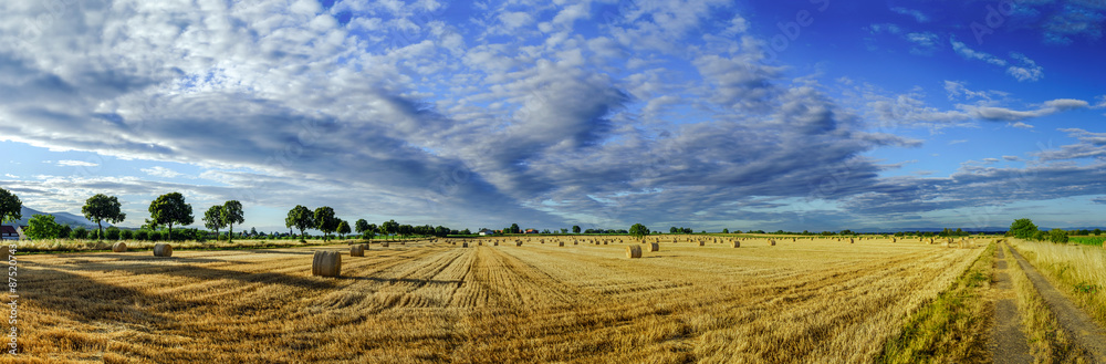 Beautiful yellow field with haystacks at sunset