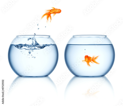 Photos A goldfish jumping out of the fishbowl isolated on white background