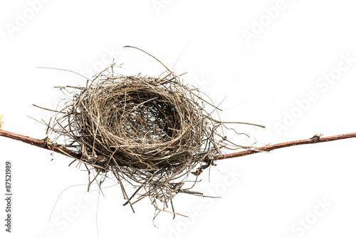 Empty bird nest. Lonely bird nest isolated on white.   
