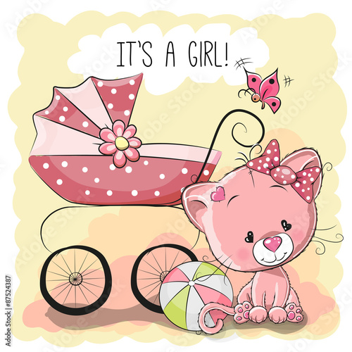 Cat with baby carriage