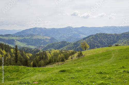 Beautiful spring landscape in Carpathians mountains. Ukraine.