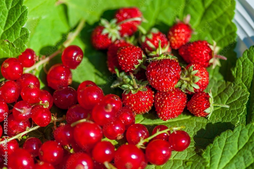 Groseilles et fraises des bois. Groseilles et fraises des bois.