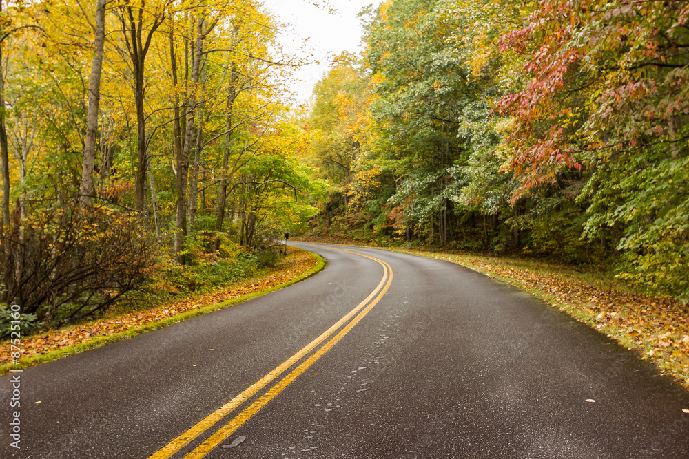 Foggy Mountain Road