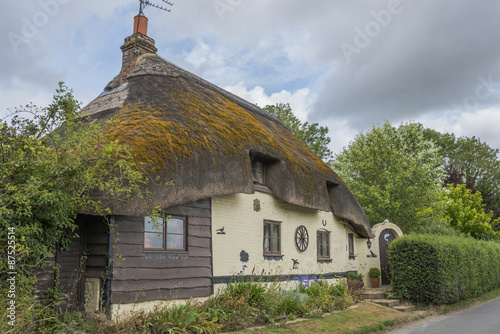 Traditional Thatched cottage in rural English countryside #87525514