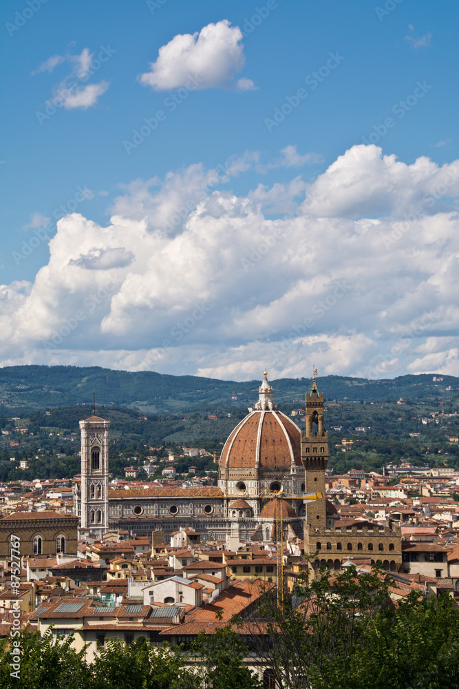 panorama of Florence from the fortress 