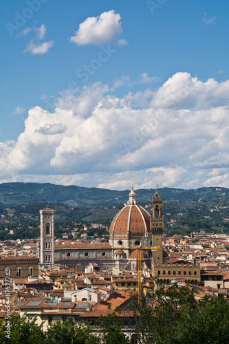 panorama of Florence from the fortress "Belvedere"