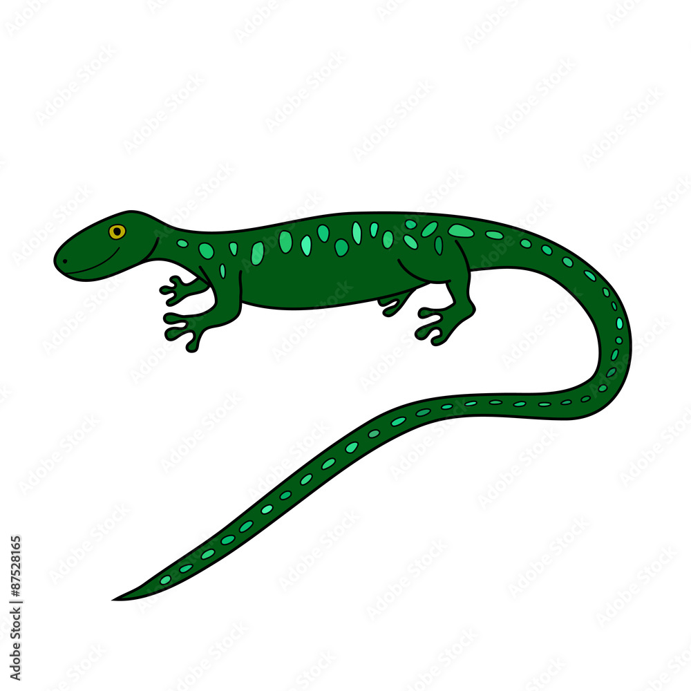 green doodle lizard green doodle lizard
