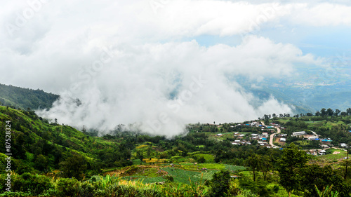 Colorful of Spring Mist, trees are wet, damp fog of forest in ph