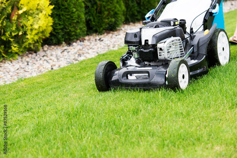 lawn mower in the garden. lawn mower in the garden.