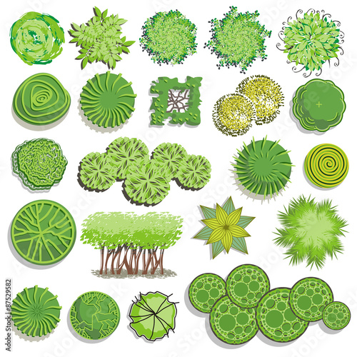Trees and bush item top view for landscape design, vector icon.