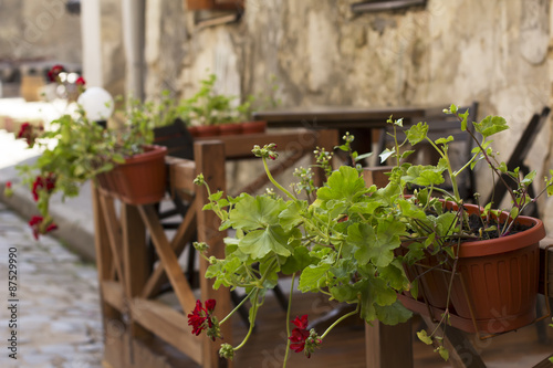 Fototapeta Naklejka Na Ścianę i Meble -  Cafe on the street. Red flowers in pots