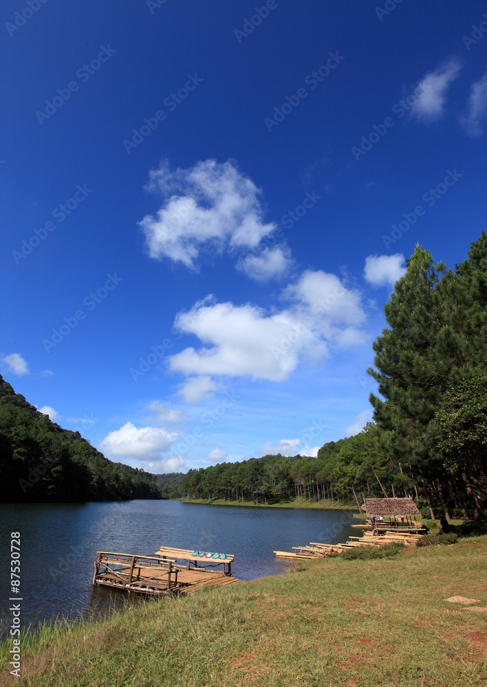 Obraz premium Pang Ung Forestry Plantations, Maehongson, North of Thailand