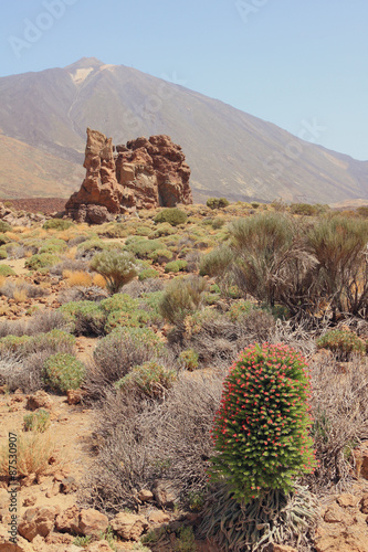 Las Cañadas caldera. Teide, Tenerife, Spain photo