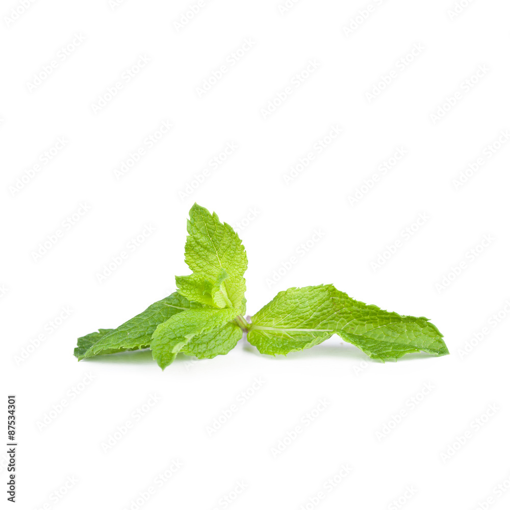 Leafs of mint Leafs of mint