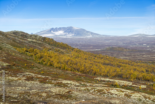 Ausblick über das herbstliche Grytdalen zur Snøhetta und zum Dovrefjell Nationalpark, Norwegen photo