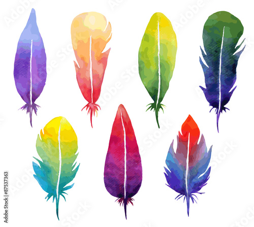 Vector watercolor feather set.